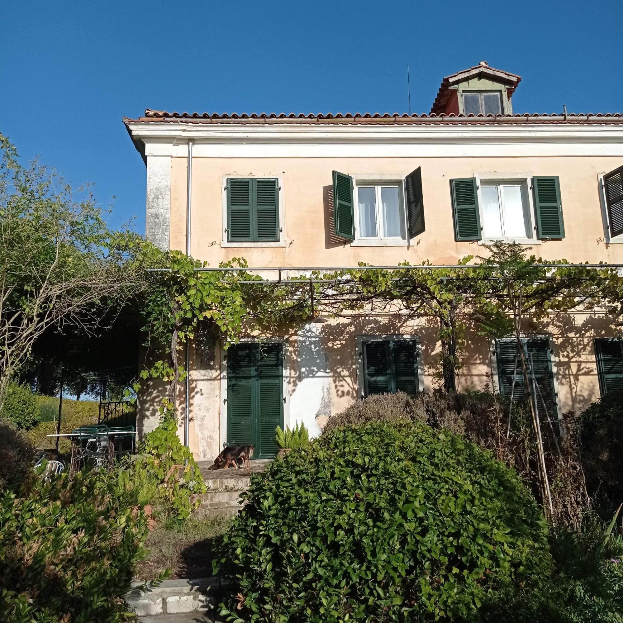 Villa Kefalomandouko Alepou Екстер'єр фото